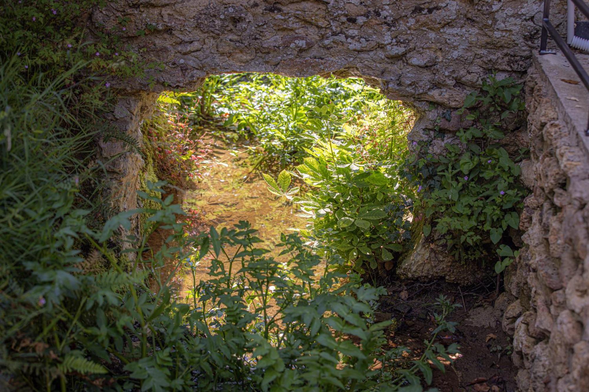Le Ru De Biche - 20Min Disney - Spa Du 01 05 Au 01 11 - Paisible Guérard Exteriér fotografie